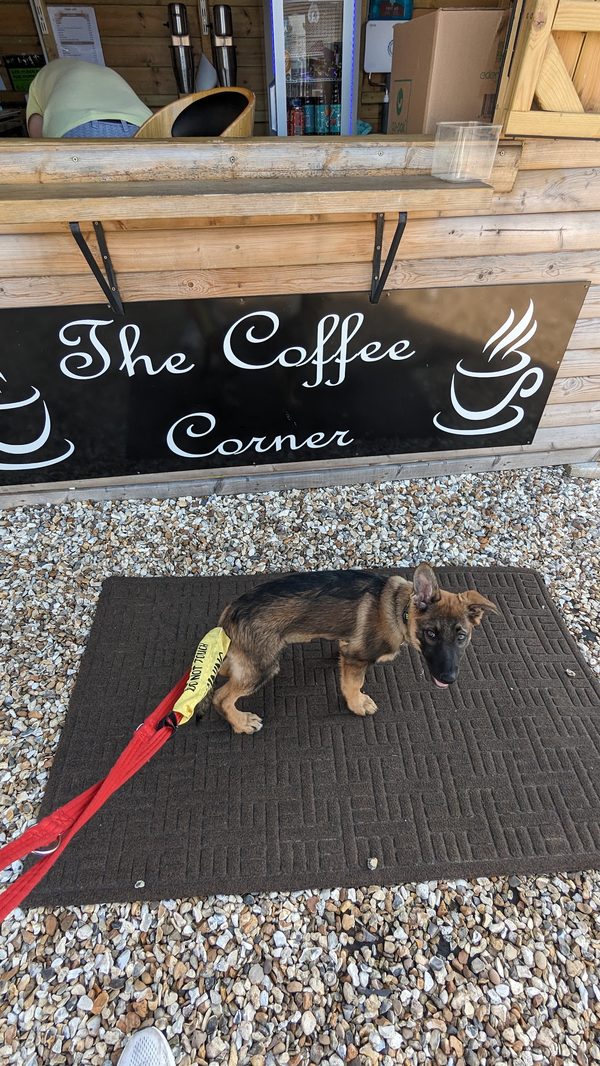 The Coffee Corner