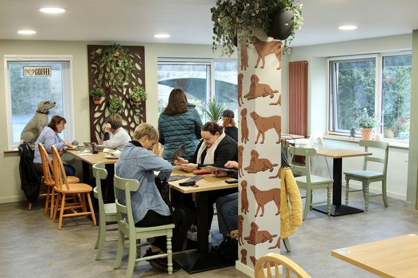 The Coffee Lab (Ellon) Ltd