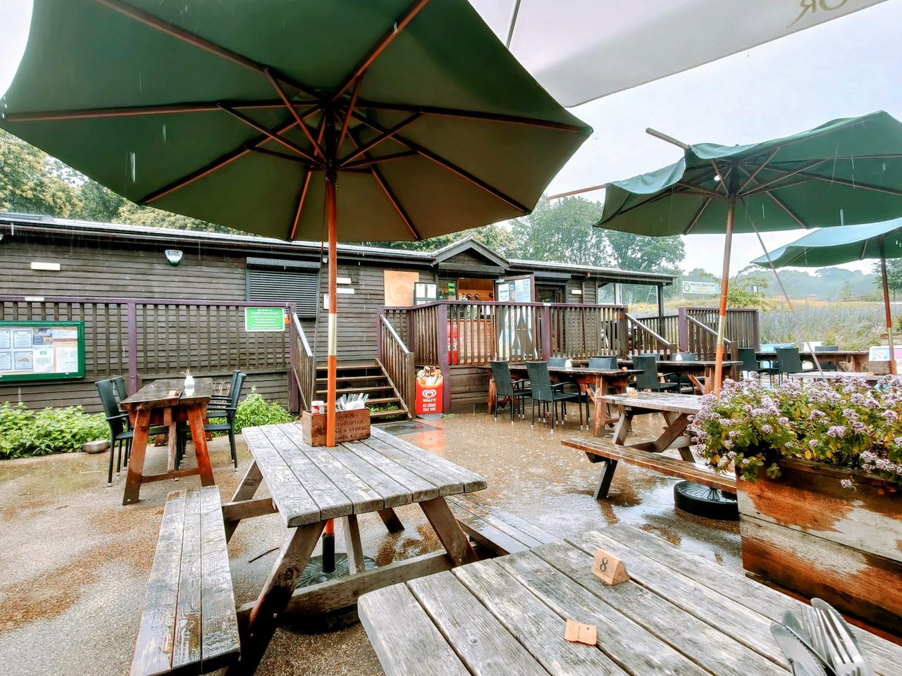 The Coffee Lodge