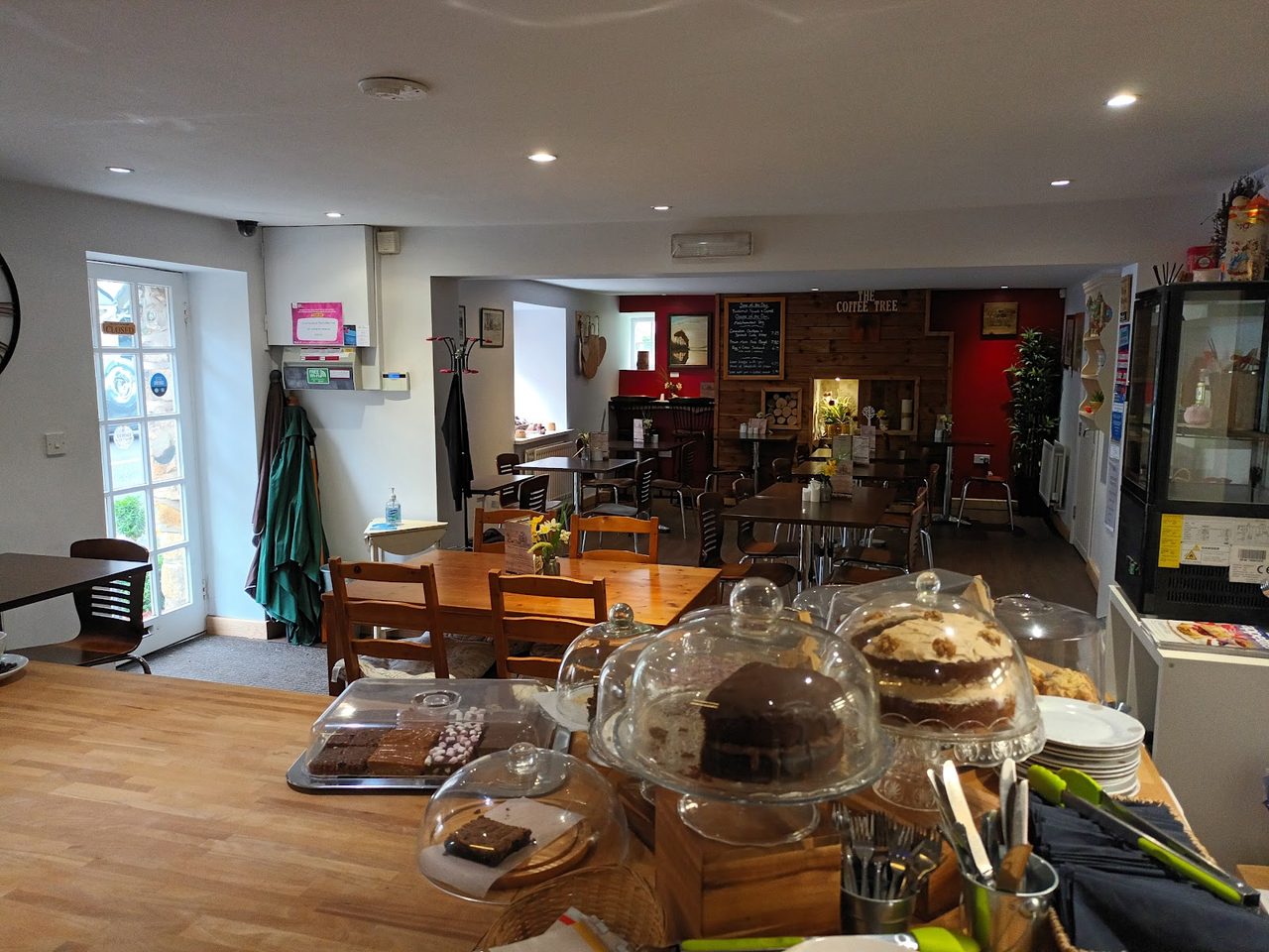 The Coffee Tree