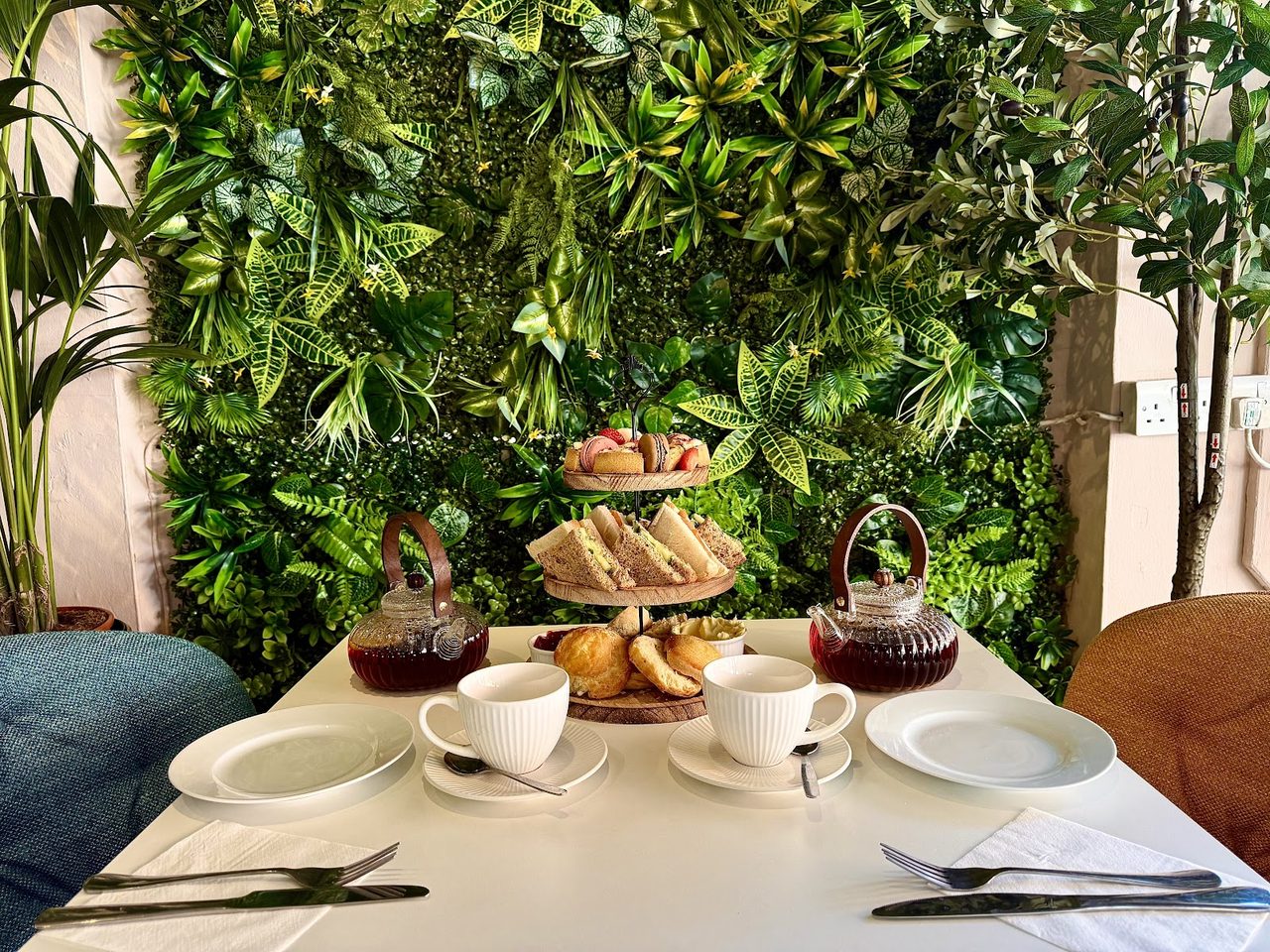 The Coffee Tree
