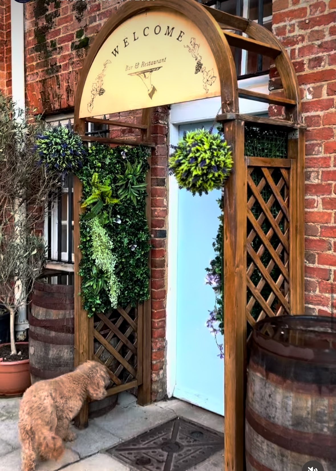 The Courtyard