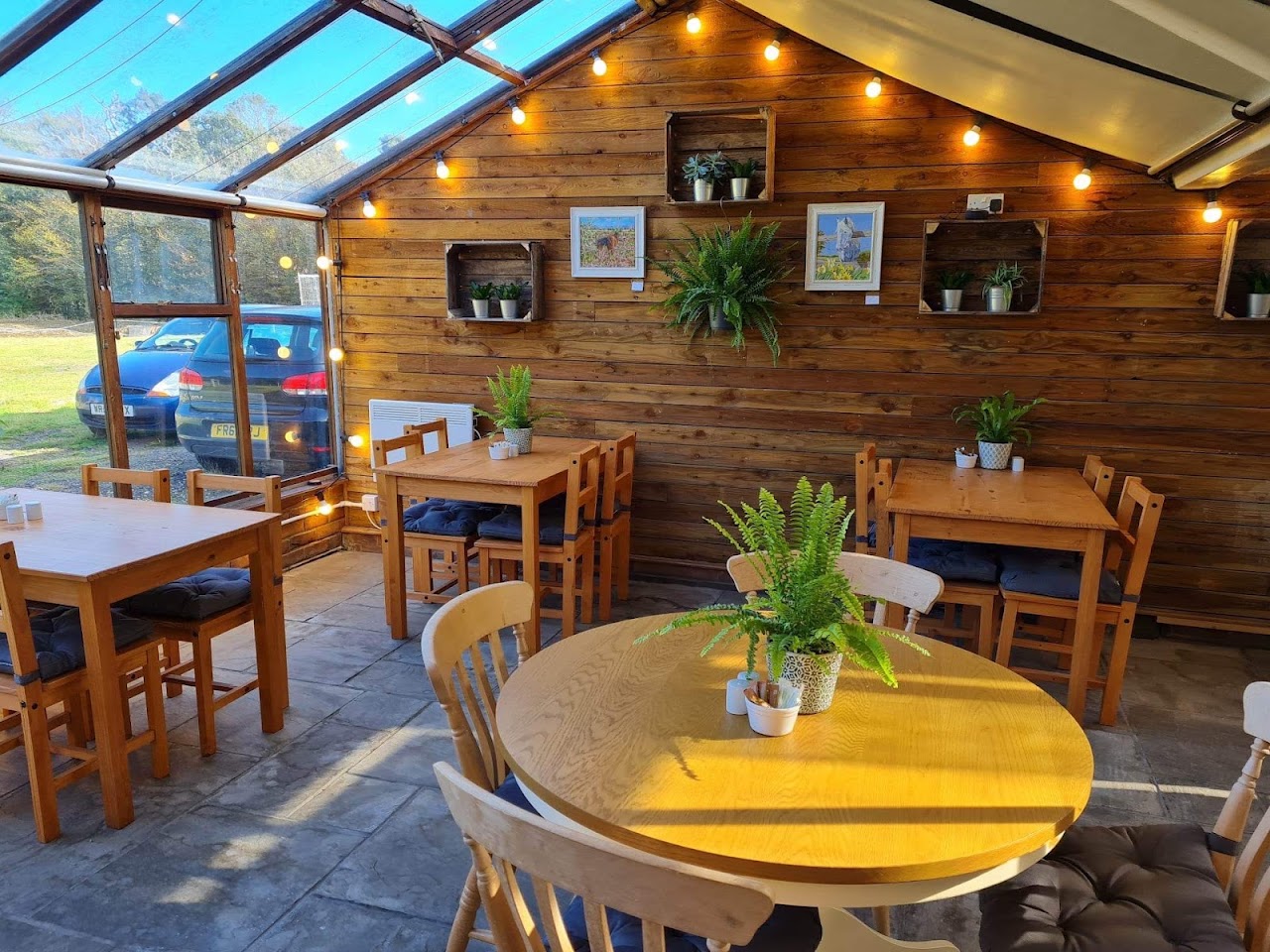 THE DAISY TEA GARDEN
