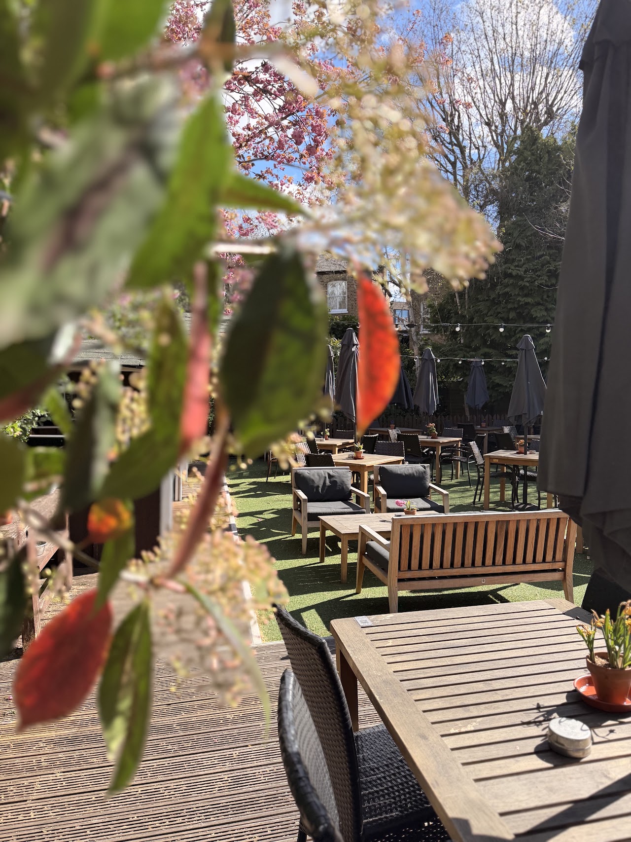 The Eagle - Shepherds Bush