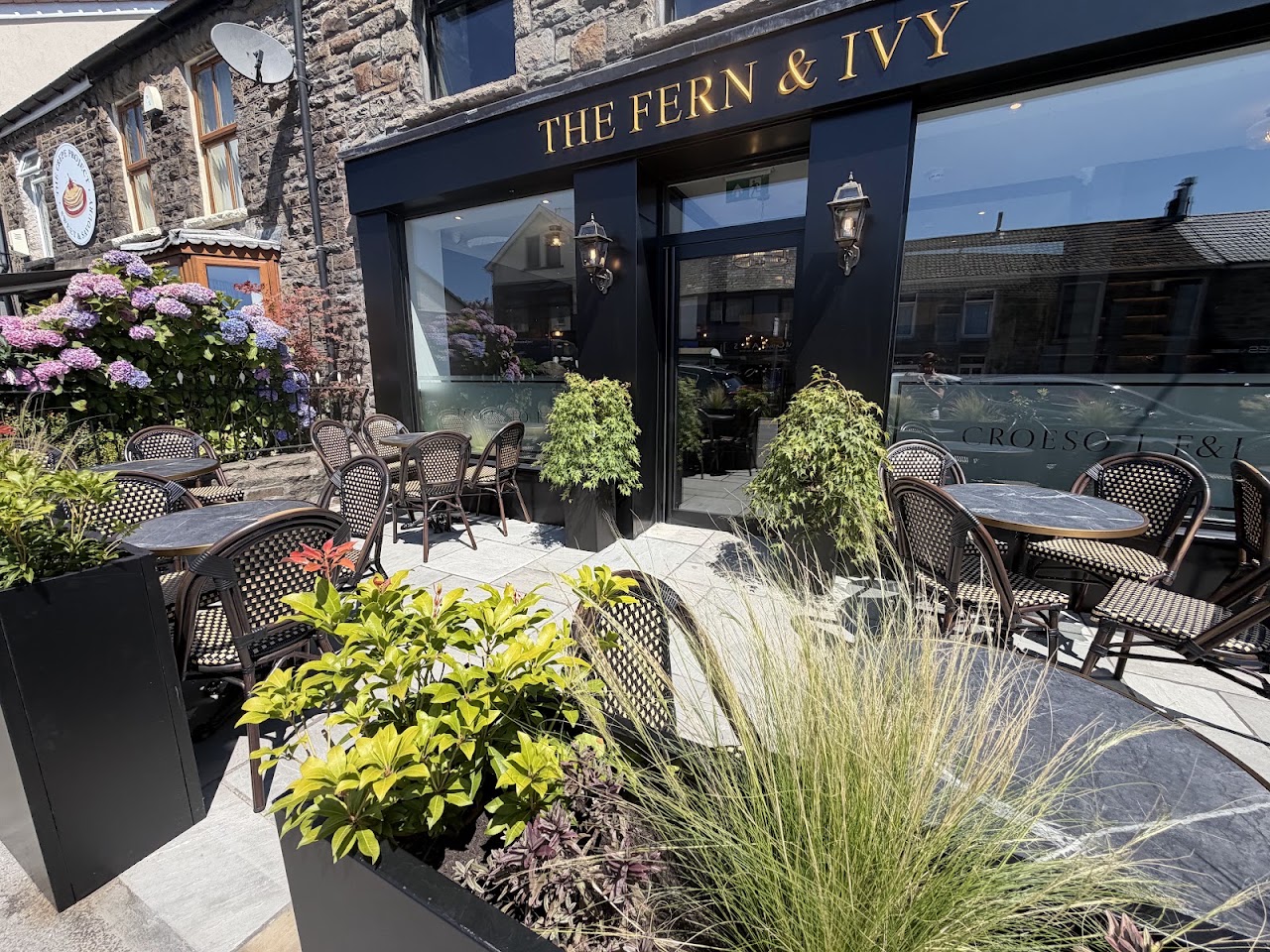 The Fern and Ivy