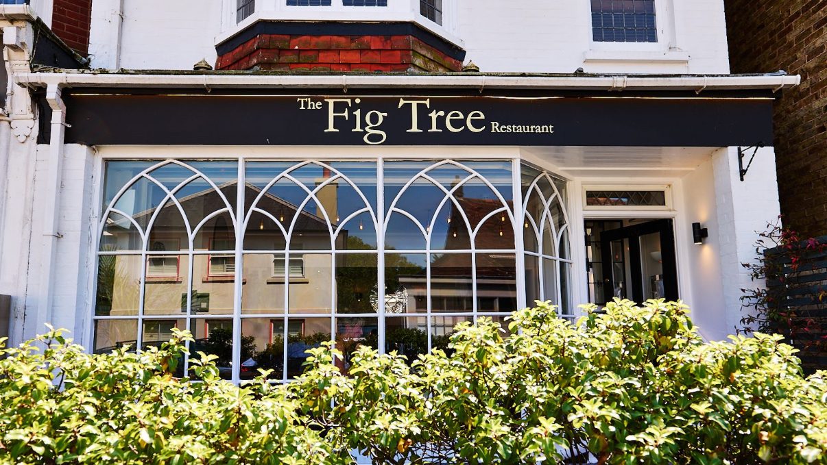 The Fig Tree