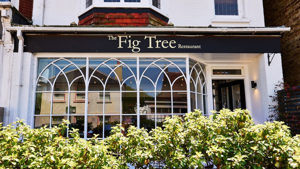 The Fig Tree