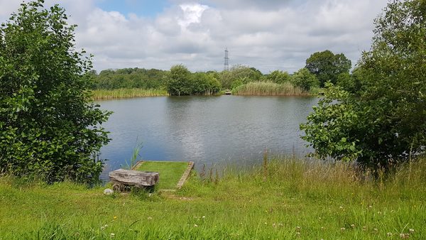 The Fishing Lodge