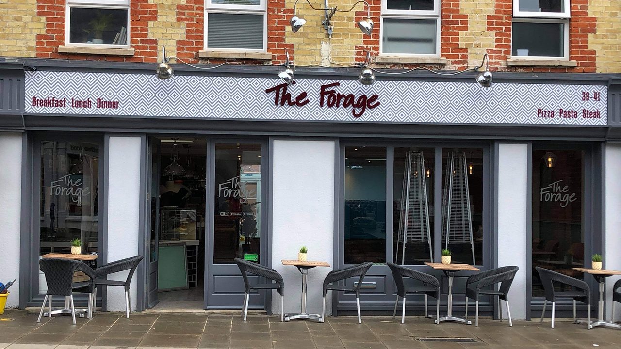 THE FORAGE