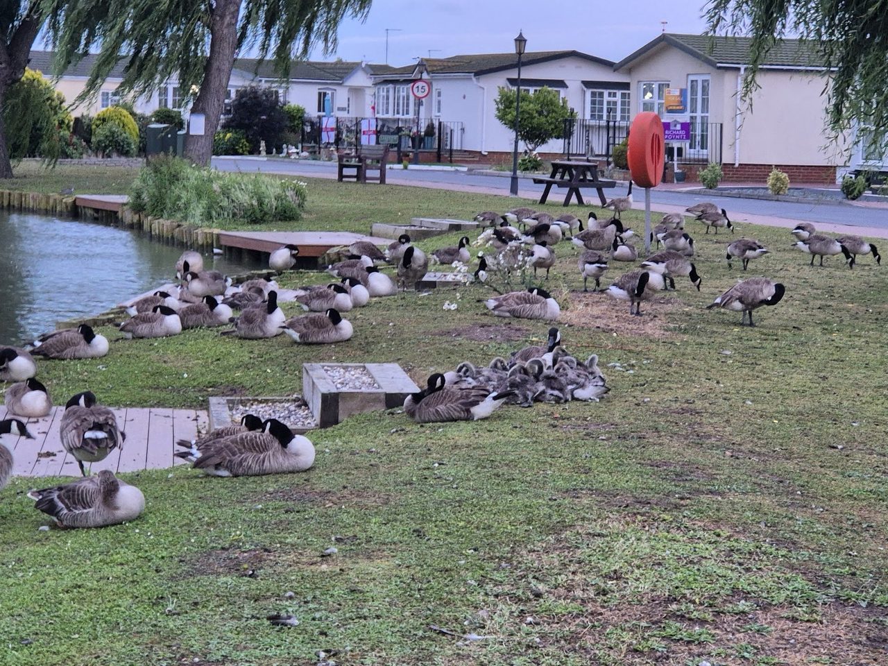 The Fountain