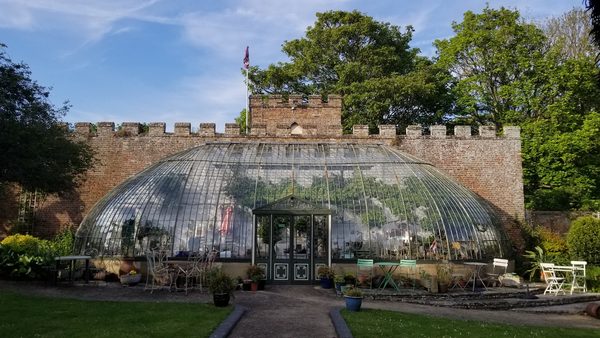 The Glass House Tea Garden