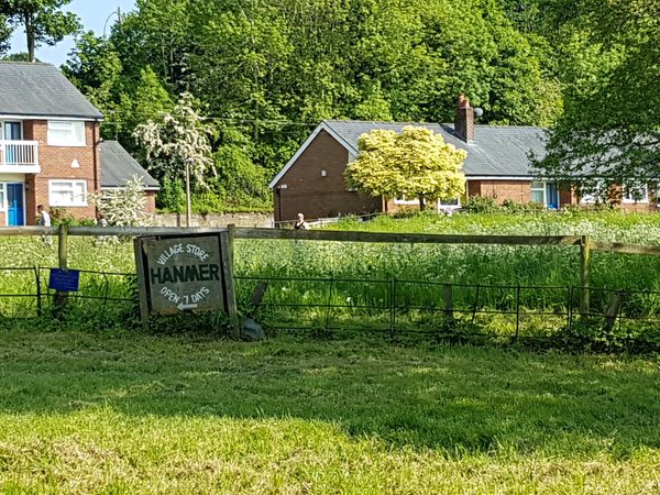 The hanmer arms