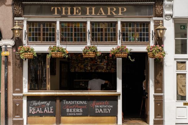 The Harp