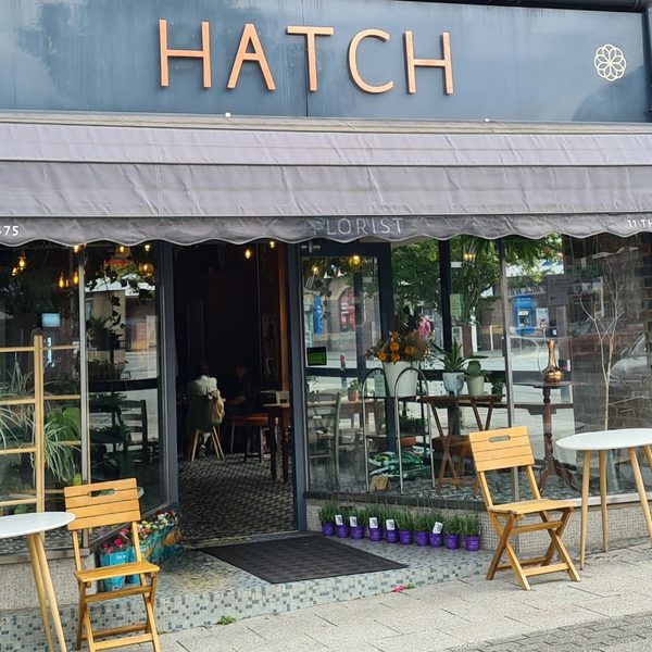 The Hatch