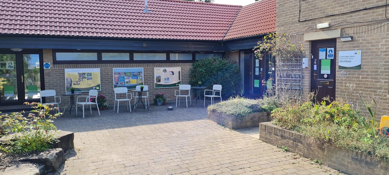 The Haven Cafe