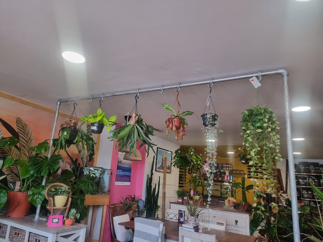 The House Of Foliage