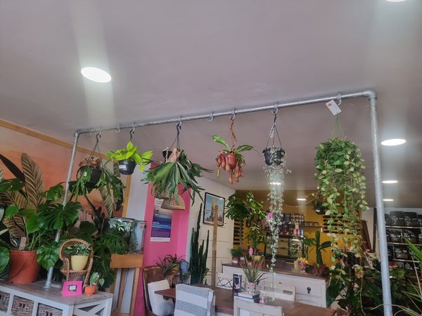 The House Of Foliage