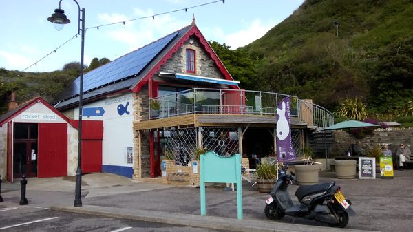 The Ilfracombe Aquarium