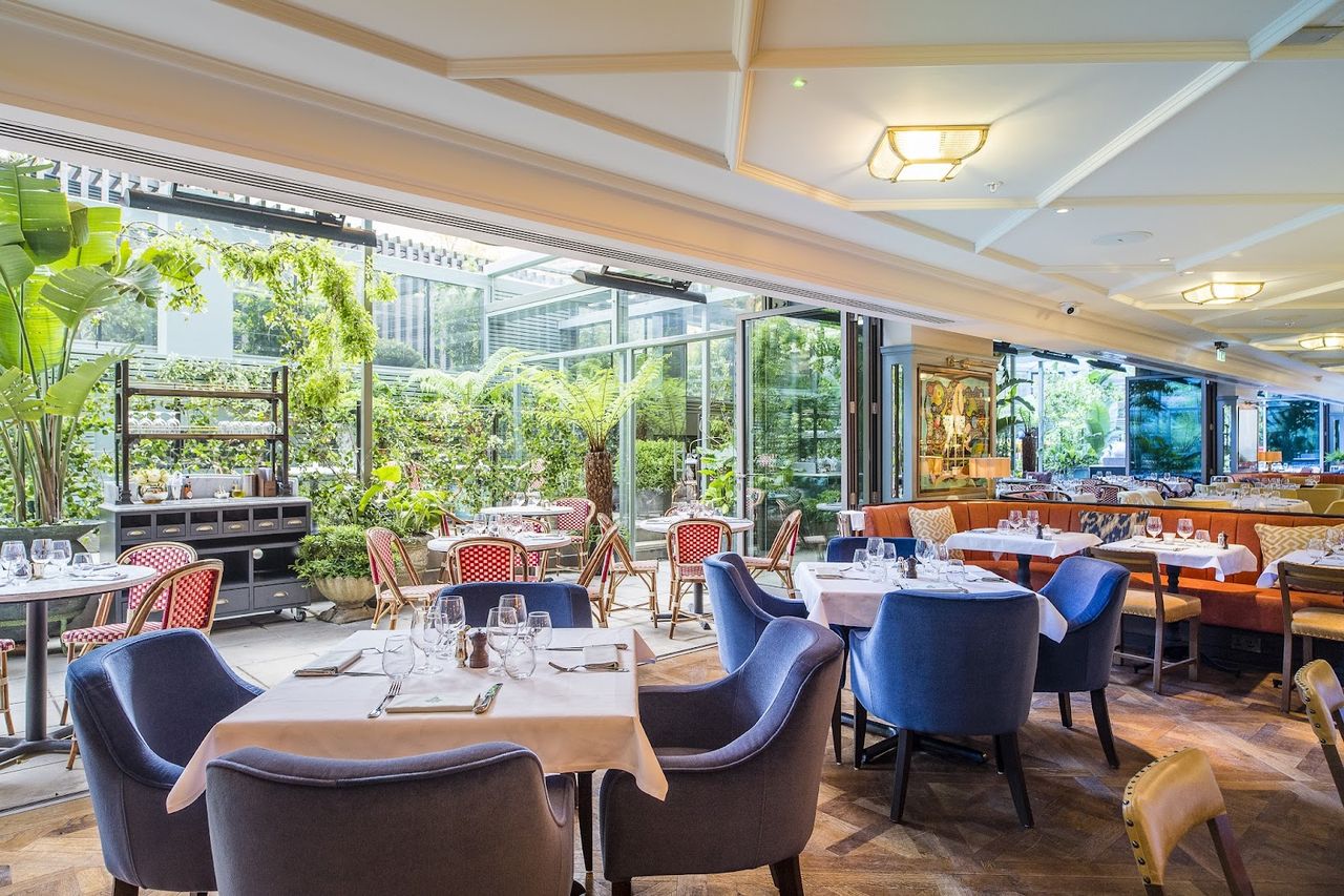 The Ivy City Garden