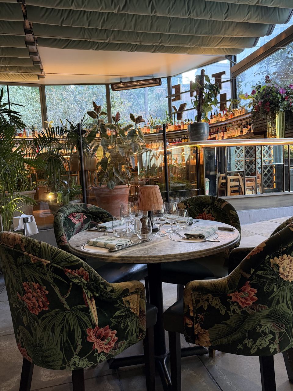 The Ivy City Garden
