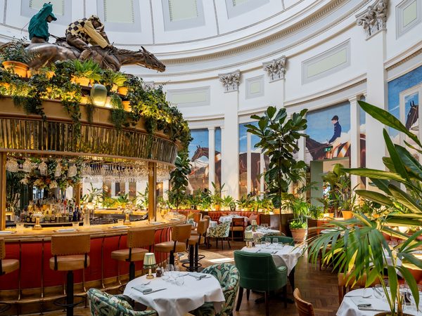 The Ivy Montpellier Brasserie