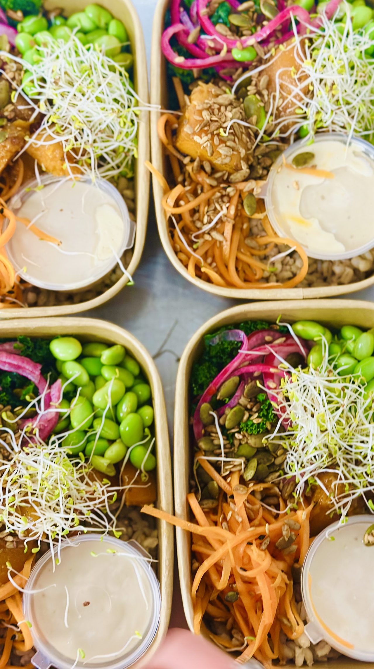 The Joyful Sprout Ltd