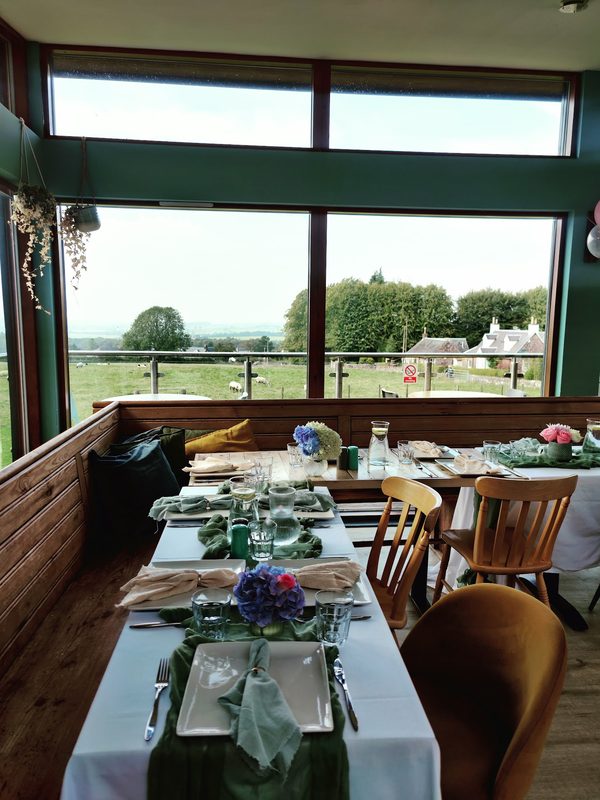 The Kitchen Window