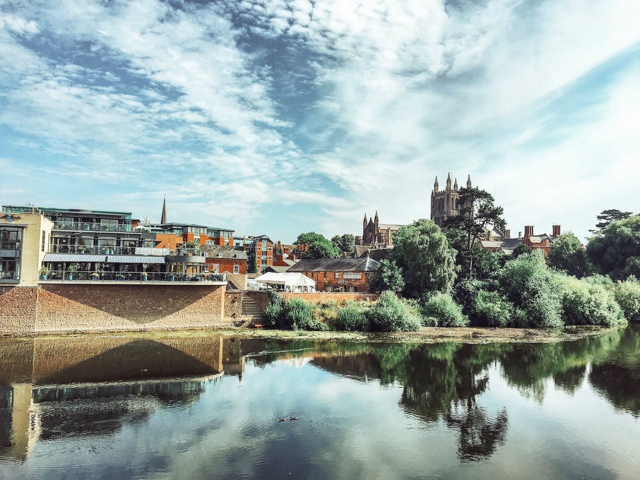The Left Bank