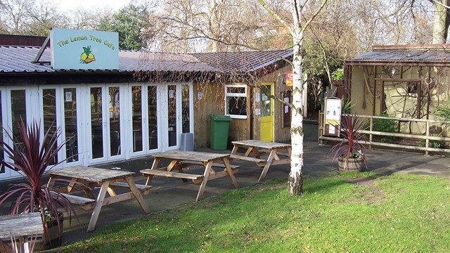 The Lemon Tree Cafe