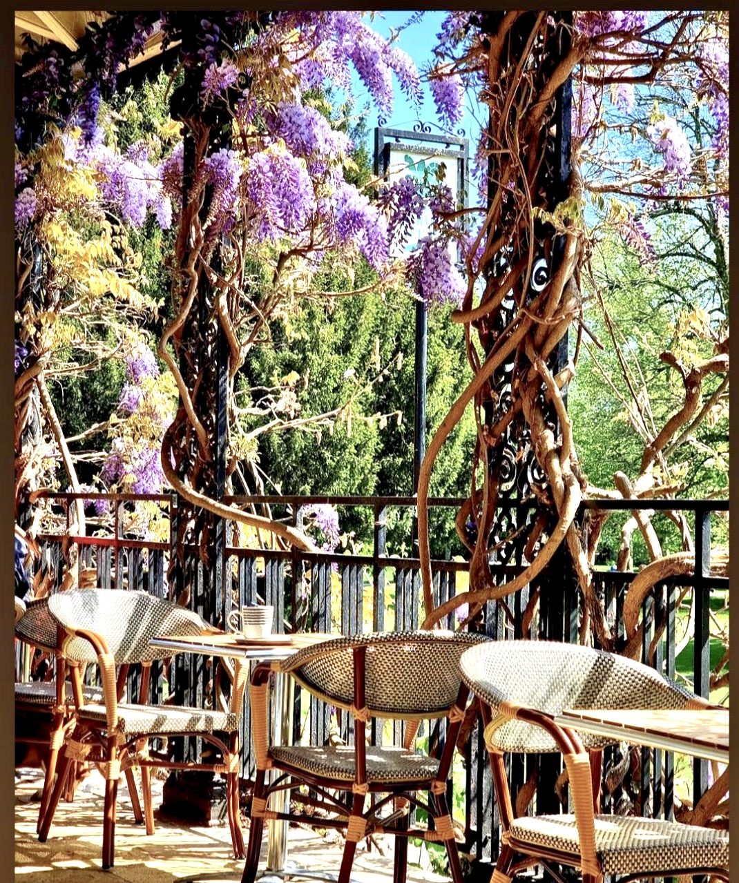 The M Cafe