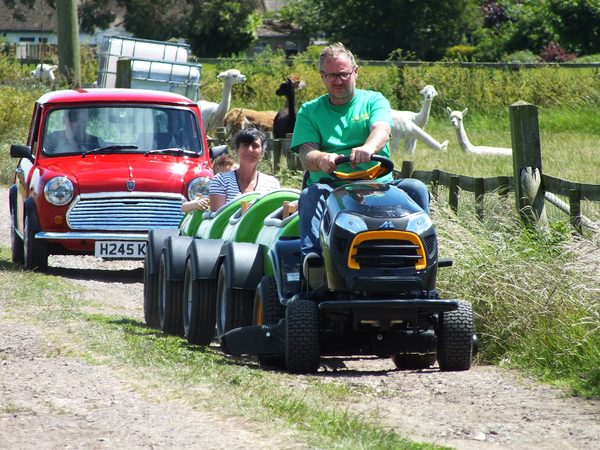 The Marsh Maze