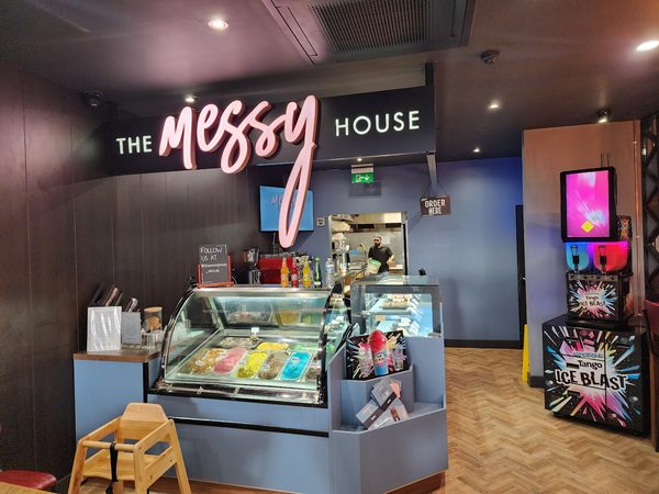 The Messy House