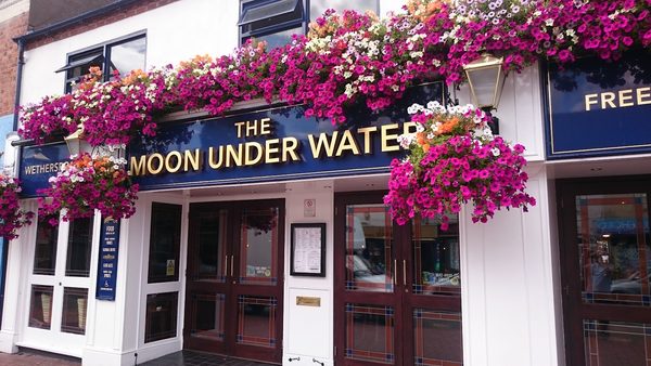 The Moon Under Water