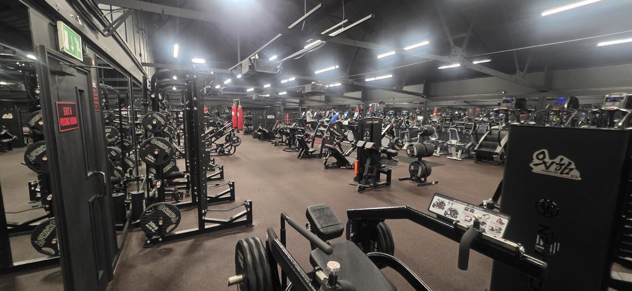 The Muscle Lab