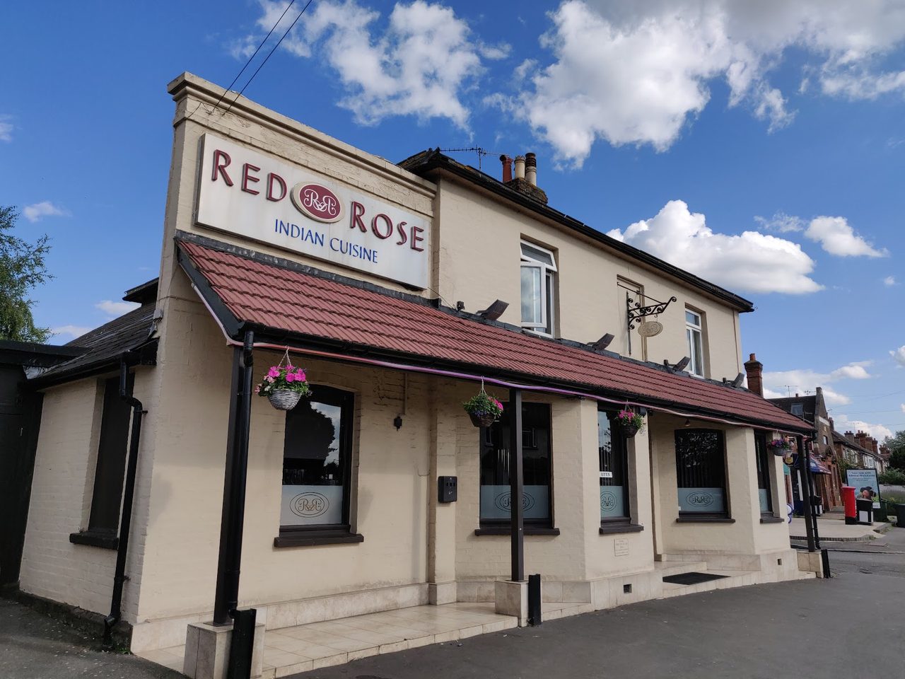 The New Rose