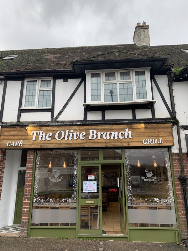 The Olive Branch