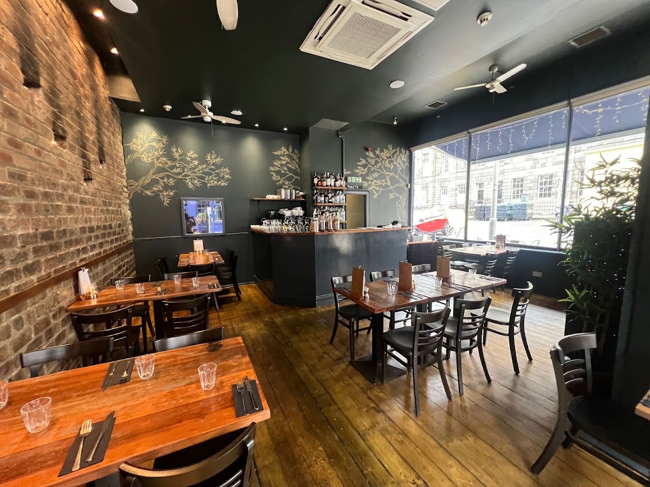 The Olive Branch - Edinburgh