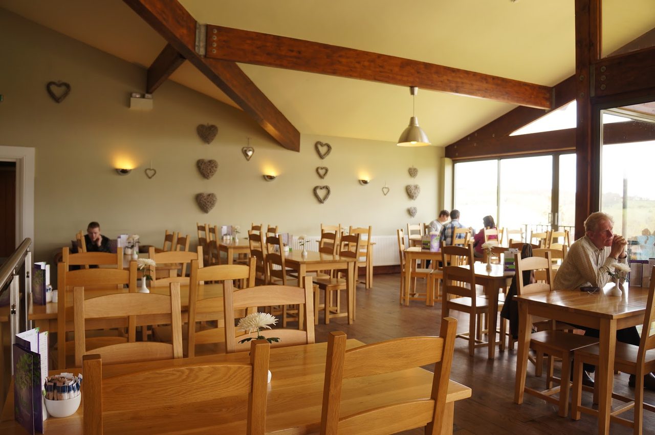 The Olive Tree