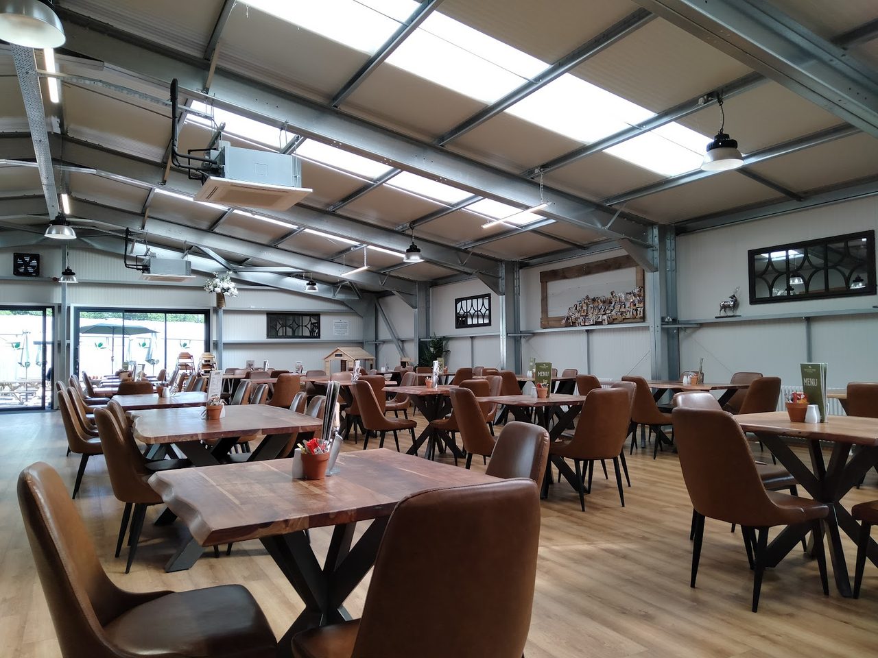 The Olive Tree
