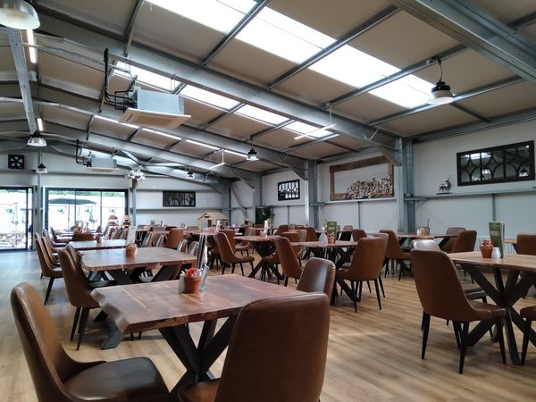 The Olive Tree