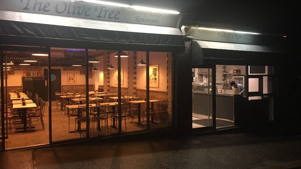 The Olive Tree