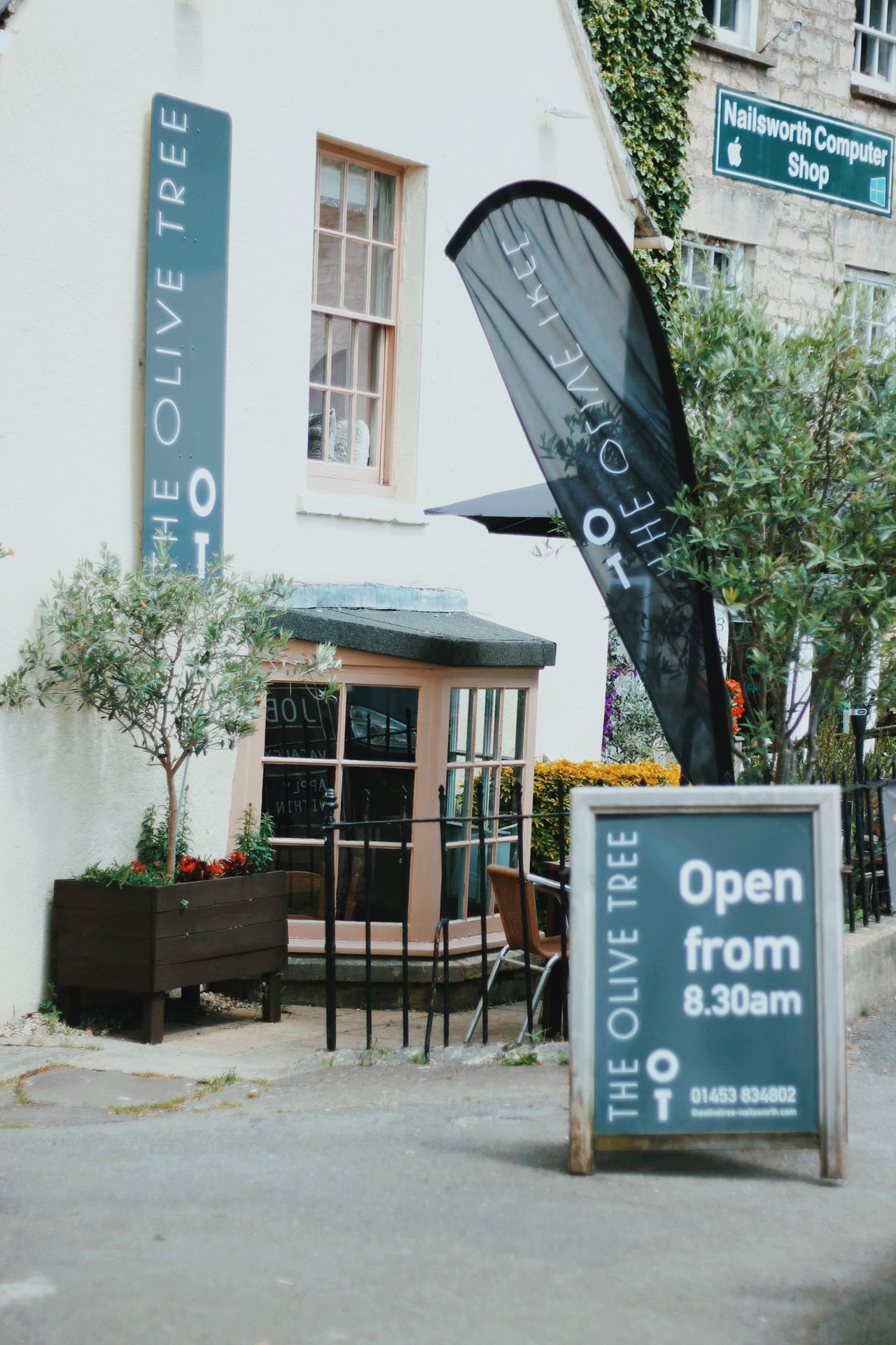 The Olive Tree