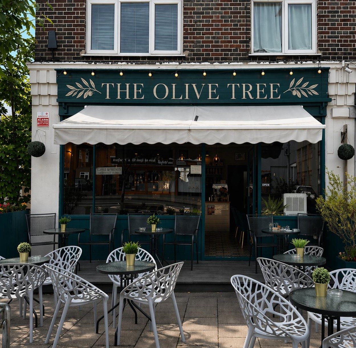 The Olive Tree