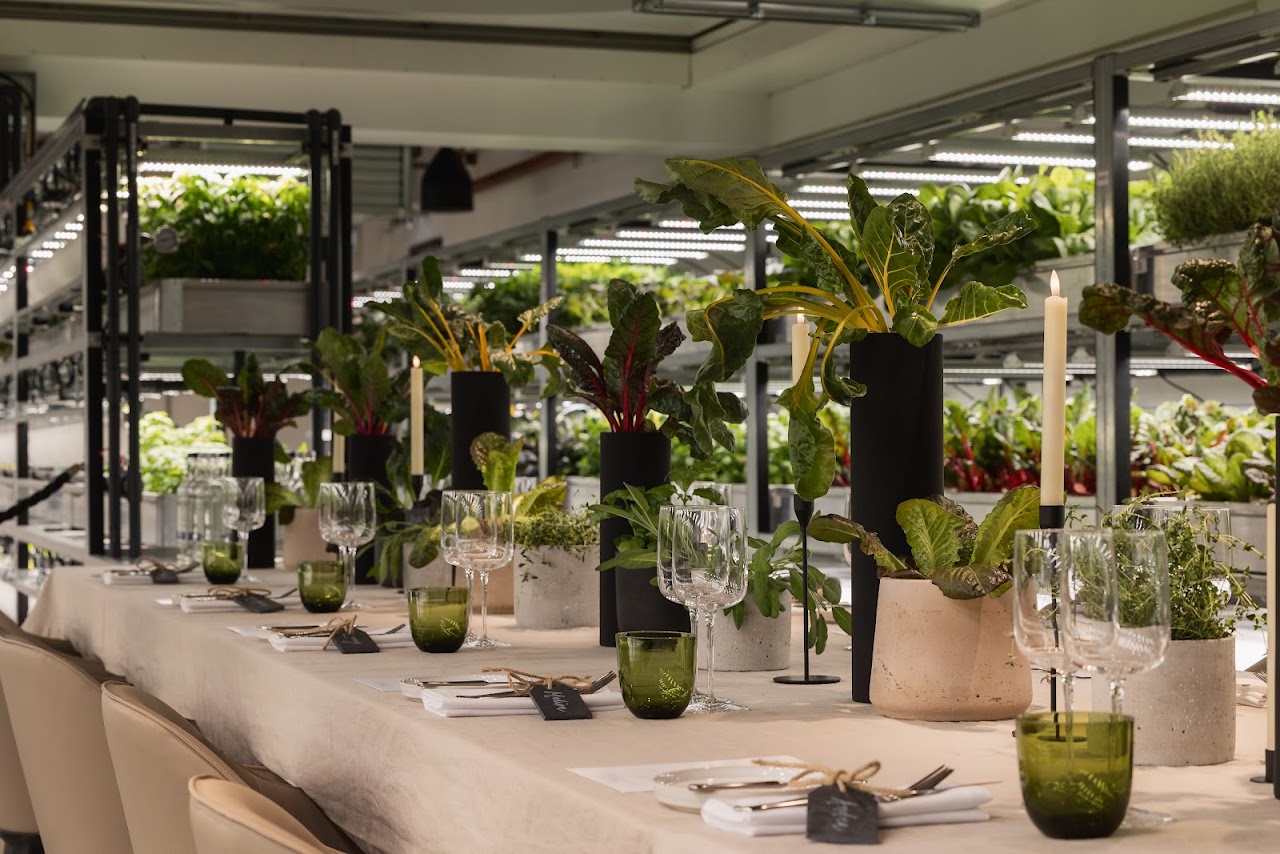 The Orangery TCR