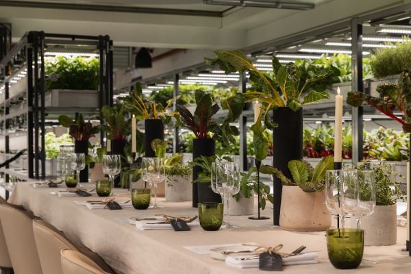 The Orangery TCR
