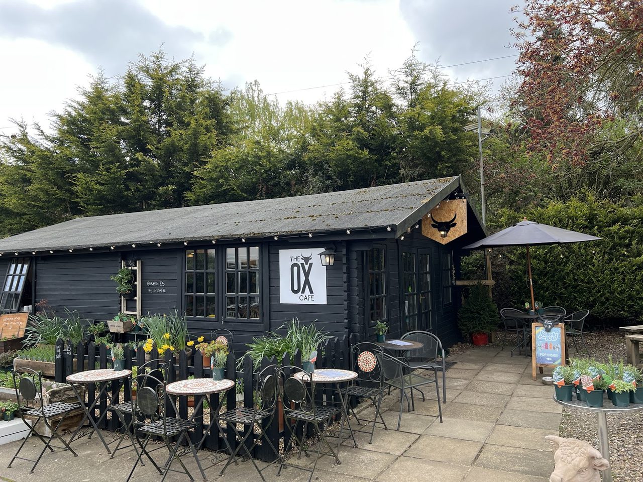 The OX Cafe Limited