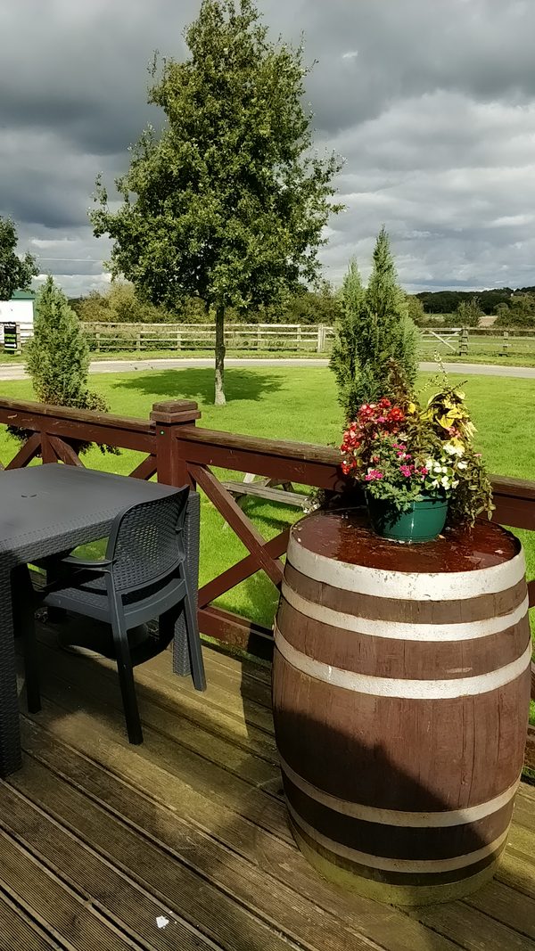 The Paddock