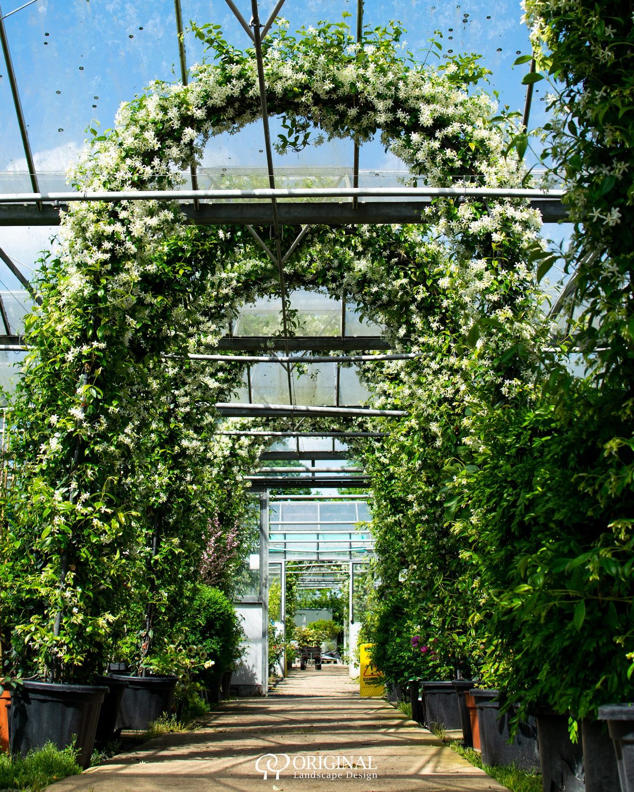 The Place For Plants