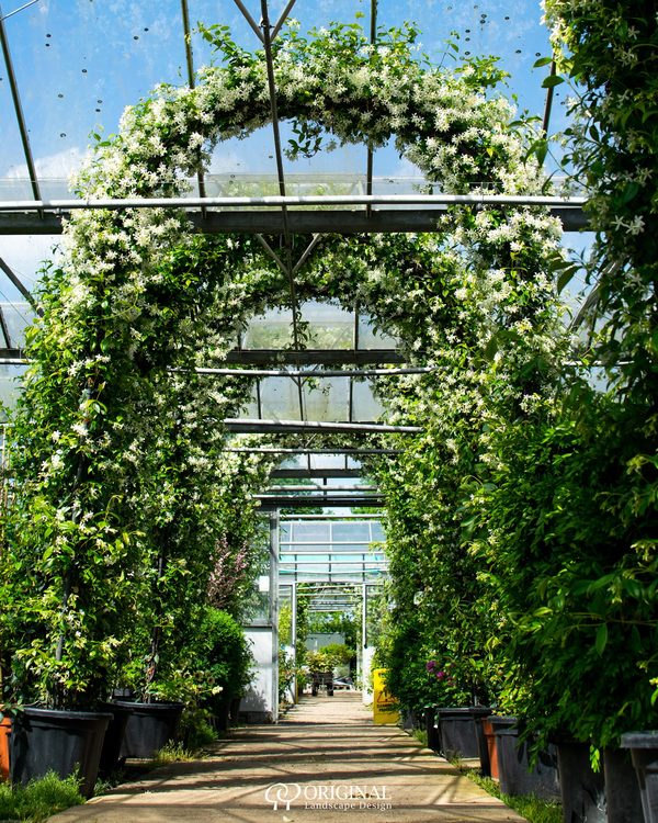 The Place For Plants