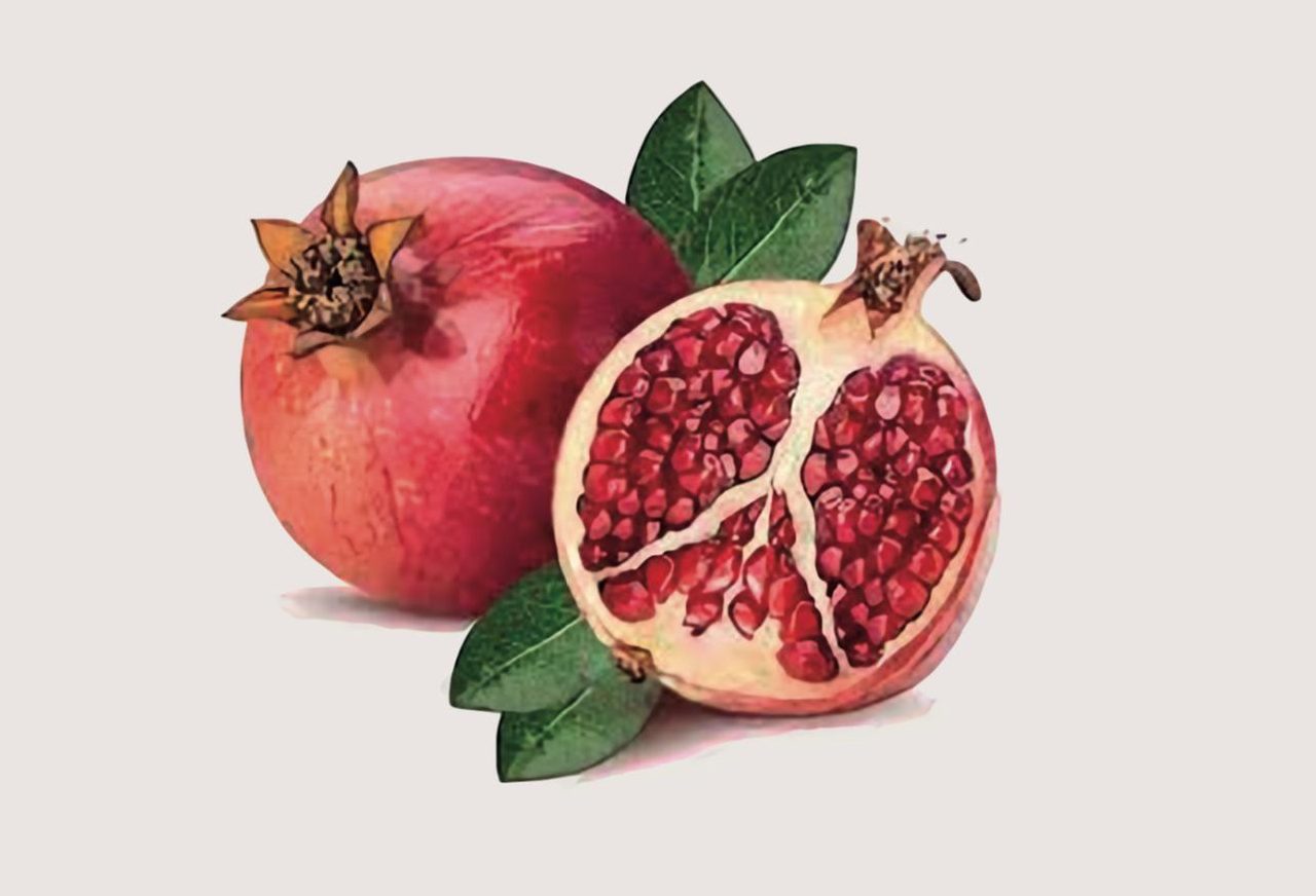 The Pomegranate Cafe